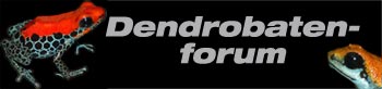 logo_dendrobatenforum